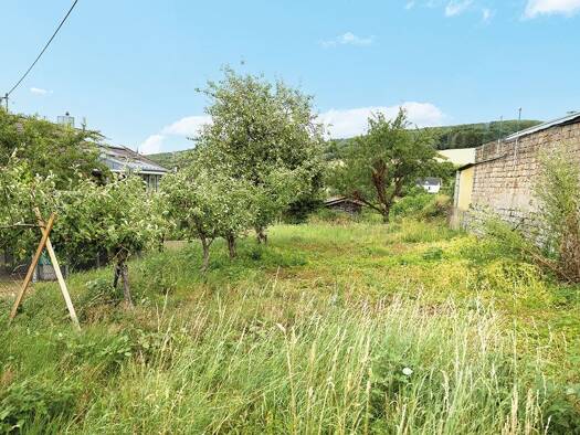 Grundstück zum Kauf 29.000 € 550 m² Grundstück Kusel Kusel 66869