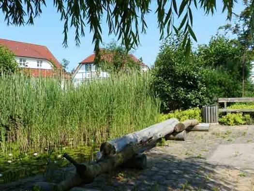 Haus zum Kauf 255.000 € 3 Zimmer 74 m² 250 m² Grundstück Nonnevitz Dranske Bakenberg / Rügen 18556