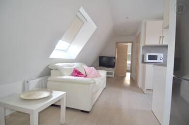 Wohnung zur Miete Wohnen auf Zeit 1.250 € 1 Zimmer 45 m² frei ab 01.09.2025 Söflingen - Gewerbegebiet Ulm 89077