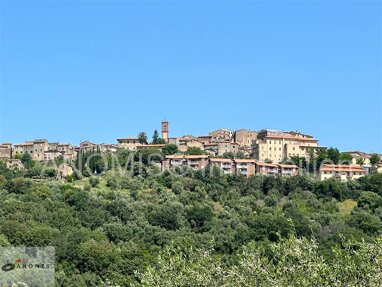 Grundstück zum Kauf als Kapitalanlage geeignet 35.000 € 10.000 m² Grundstück Olivenhain mit kleinem Häuschen in der Toskana Civitella Paganico 58045