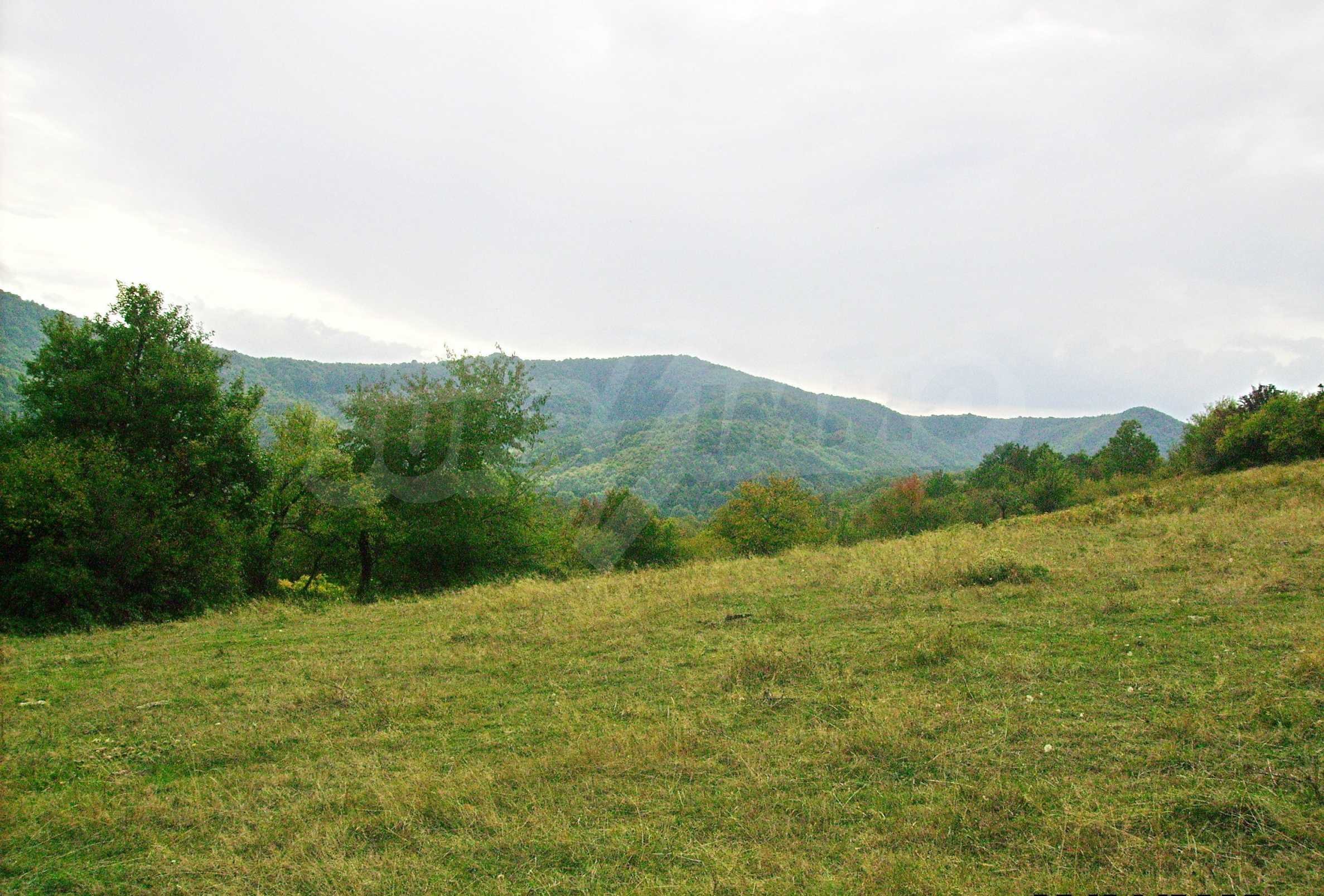 Landwirtschaftliche Fläche zum Kauf 72.000 € Gabrovo