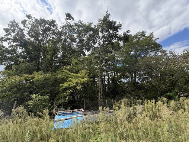 Grundstück zum Kauf 970.000 € 1.575 m² Grundstück Großschwarzenlohe Wendelstein 90530