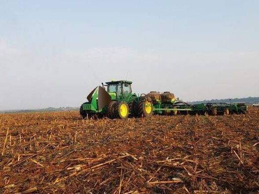 Büro zum Kauf 38.628.750 € Balsas 65800-000