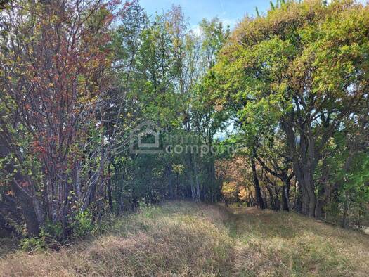 Land-/Forstwirtschaft zum Kauf 419.000 € 60.000 m² Grundstück Schwarzenbach 2803
