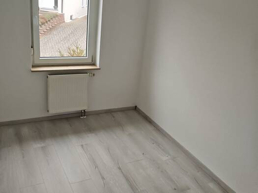Wohnung zur Miete 520 € 1 Zimmer 58 m² Geschoss 1/3 frei ab sofort Oberbexbach Bexbach 66450