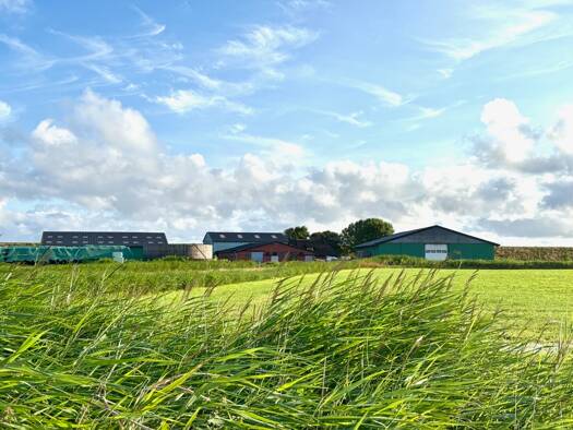 Bauernhaus zum Kauf 795.000 € 5 Zimmer 135 m² 32.719 m² Grundstück frei ab 01.01.2026 Tholendorf 18 Tating 25881