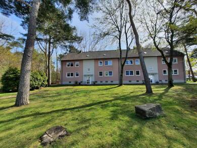 Wohnung zur Miete 370 € 3,5 Zimmer 53,5 m² 1. Geschoss frei ab 01.06.2025 Meisenstraße 61 Marl - Hamm Marl 45772