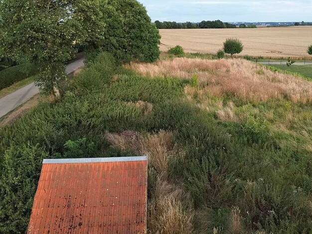 Grundstück zum Kauf 45.000 € 1.556 m² Grundstück Kalübbe Breesen 17091