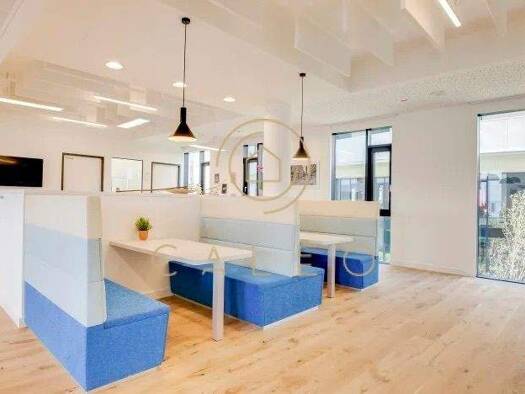 Bürofläche zur Miete provisionsfrei 500 m² Bürofläche teilbar ab 1 m² Altchemnitz Chemnitz 09125