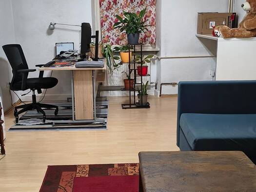 Wohnung zur Miete 450 € 2 Zimmer 55 m² EG frei ab 01.02.2026 Bamberg 96052