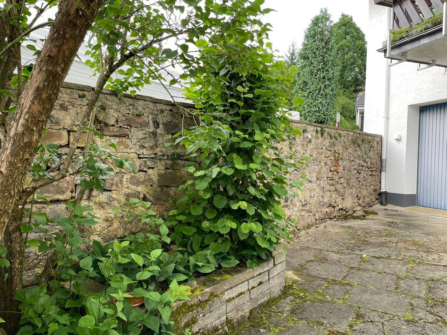 House in Prüm, Eifelkreis Bitburg-Prüm - Ansicht 5