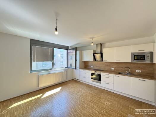 Wohnung zur Miete 640 € 2 Zimmer 42,2 m² 2. Geschoss Favoriten 1100