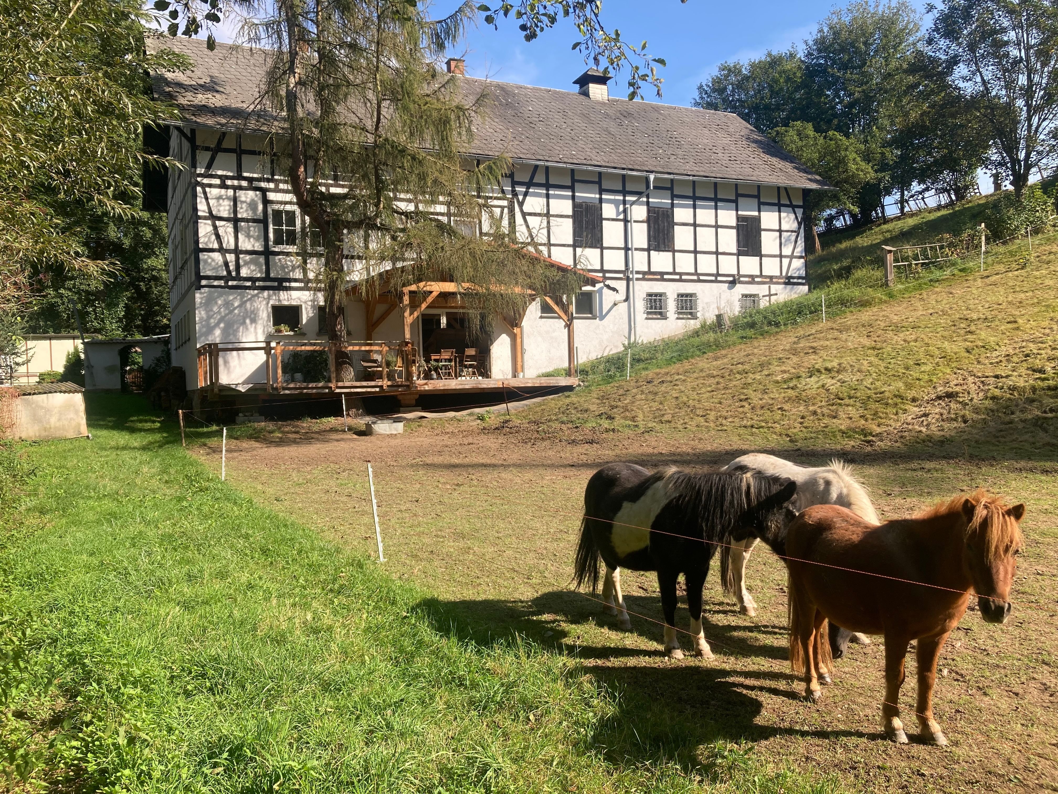 Bauernhaus zum Kauf 172 m²<br/>Wohnfläche 80.000 m²<br/>Grundstück Obergeißendorf Berga/Elster 07980