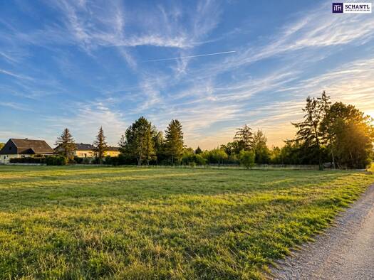 Grundstück zum Kauf 159.000 € 553 m² Grundstück Fliederweg Apetlon 2434