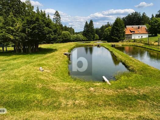 Land-/Forstwirtschaft zum Kauf 365.000 € 38.000 m² Grundstück Neugrünberg Kulmain 95508
