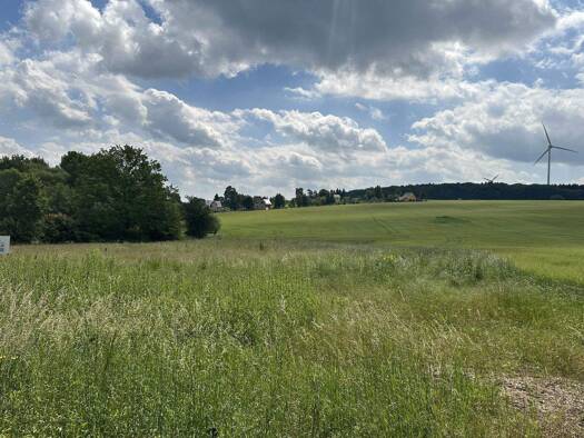 Grundstück zum Kauf provisionsfrei 115.000 € 2.600 m² Grundstück Reichenbach 08468