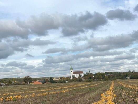 Grundstück zum Kauf provisionsfrei 39.999 € 1.079 m² Grundstück Im Eislauf Unterretzbach 2074