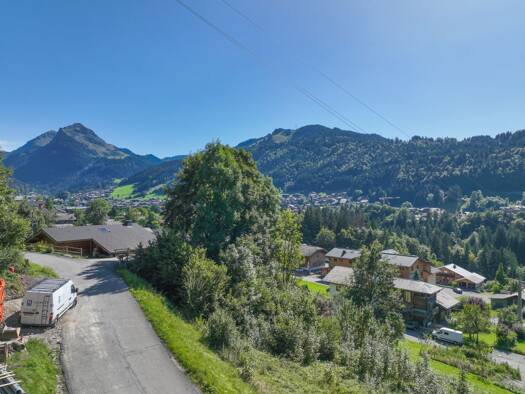 Sonstiges zum Kauf 1.580.000 € Montriond 74110