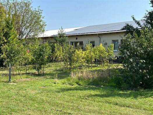 Land-/Forstwirtschaft zum Kauf 175.000 € Schleesen Kemberg 06901