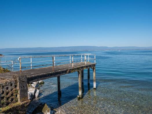 Einfamilienhaus zum Kauf 2.300.000 € 9 Zimmer 445 m² 1.339 m² Grundstück EVIAN LES BAINS 74500
