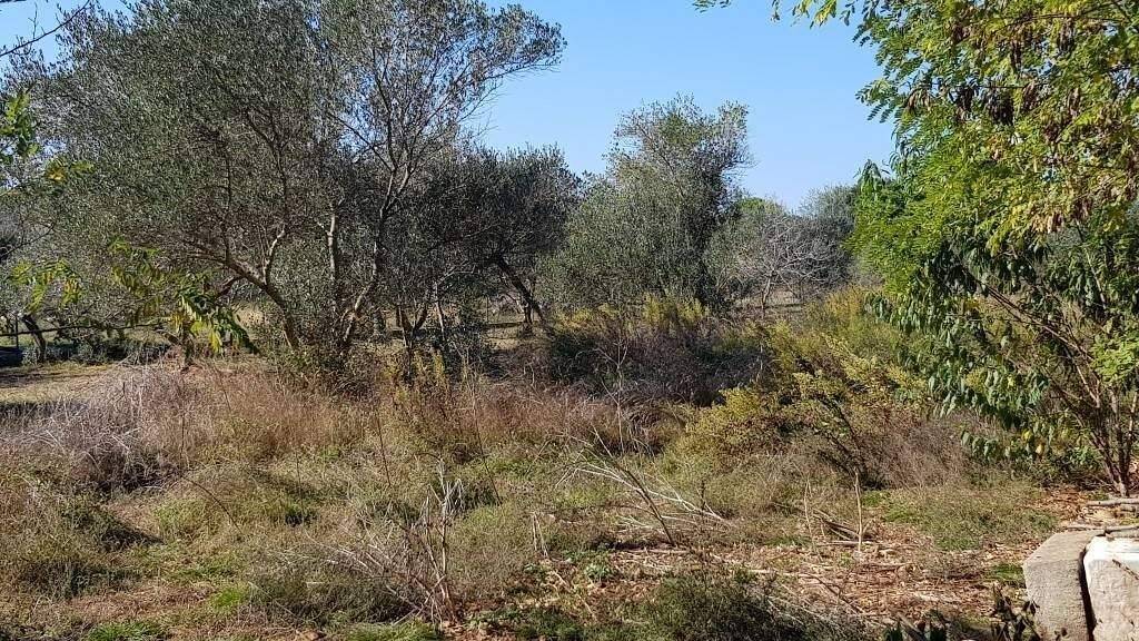 Land-/Forstwirtschaft zum Kauf 32.040 € Centar