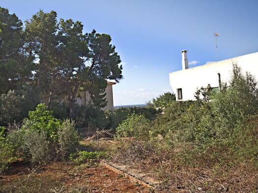 Grundstück zum Kauf provisionsfrei 320.000 € 852 m² Grundstück S´Alqueria Blanca