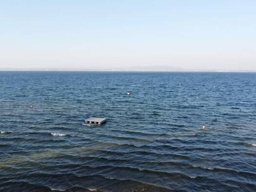 Villa zum Kauf 250 m² 1.500 m² Grundstück Romanshorn 8590