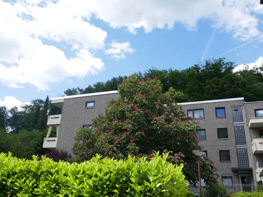Wohnung zum Kauf provisionsfrei 108.000 € 1 Zimmer 30 m² Wiesbaden 65207