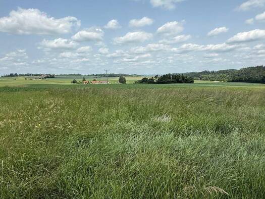 Grundstück zum Kauf 517.400 € 796 m² Grundstück Haunwang Eching 84174