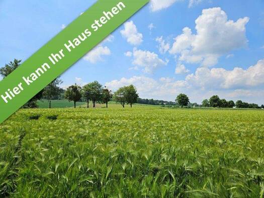 Einfamilienhaus zum Kauf provisionsfrei 375.450 € 5 Zimmer 119 m² 652 m² Grundstück Hermann-Löns-Straße Bennigsen Springe 31832