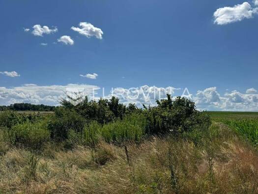 Land-/Forstwirtschaft zum Kauf 20.900 € Podgorac Podgorac 31433