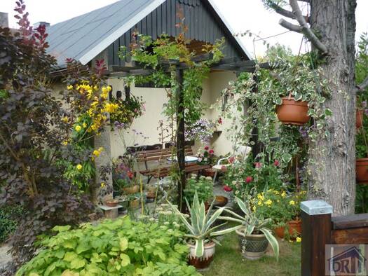 Einfamilienhaus zum Kauf 99.000 € 7 Zimmer 180,3 m² 1.806 m² Grundstück frei ab sofort Neugersdorf Ebersbach-Neugersdorf 02727