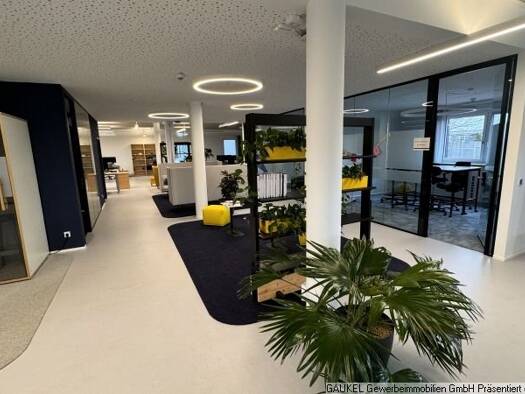 Büro-/Praxisfläche zur Miete 800 m² Bürofläche teilbar ab 400 m² Wildpoldsried 87499