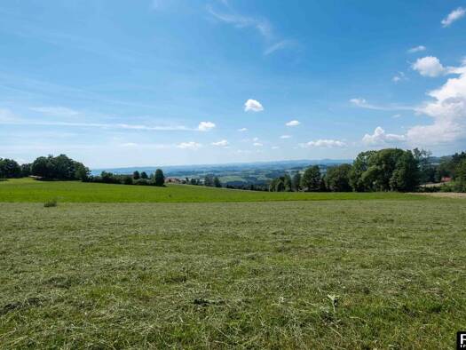 Grundstück zum Kauf 239.000 € 825 m² Grundstück Eidenberg 4201