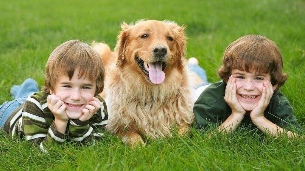 Einfamilienhaus zum Kauf provisionsfrei 550.000 € 5 Zimmer 140 m² 311 m² Grundstück Solingen-Mitte Solingen 42655