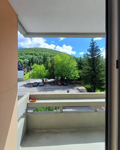 Wohnung zum Kauf provisionsfrei 78.900 € 2 Zimmer 57 m² 3. Geschoss frei ab sofort Bad Harzburg Bad Harzburg 38667