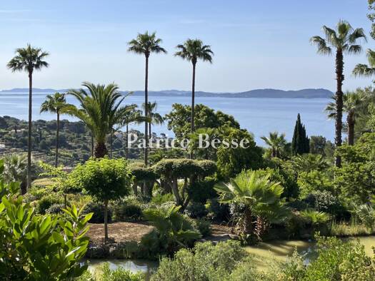 Haus zum Kauf 4.950.000 € 11 Zimmer 360 m² 28.660 m² Grundstück Centre Ville Carqueiranne 83320