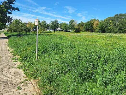 Grundstück zum Kauf 450.000 € 10.829 m² Grundstück frei ab sofort Bieblach-Ost Gera 07552