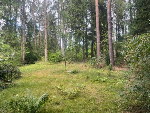 Grundstück zum Kauf 288.000 € 1.000 m² Grundstück Buchholz Buchholz in der Nordheide 21244