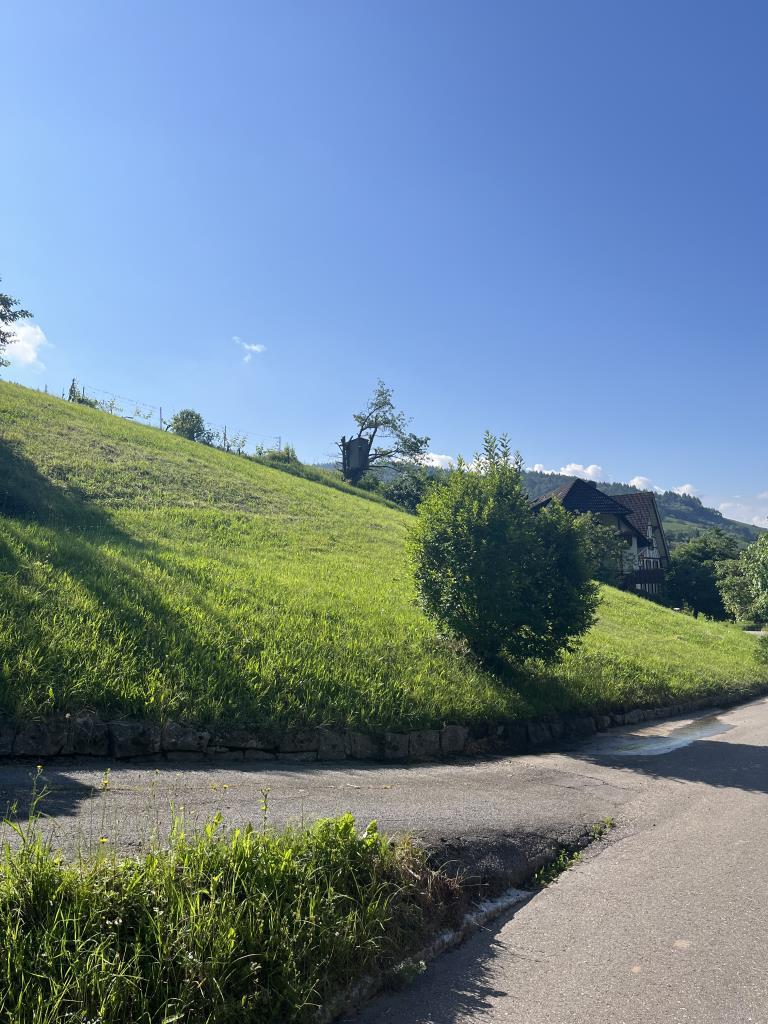 Grundstück zum Kauf 245.000 € 1.200 m²<br/>Grundstück Oberkirch Oberkirch - Ringelbach 77704