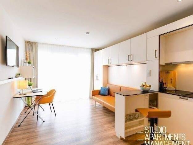 Studio zur Miete 750 € 1 Zimmer 29 m² frei ab sofort Bechmann-Rahn-Weg 2 Innenstadt Erlangen 91052