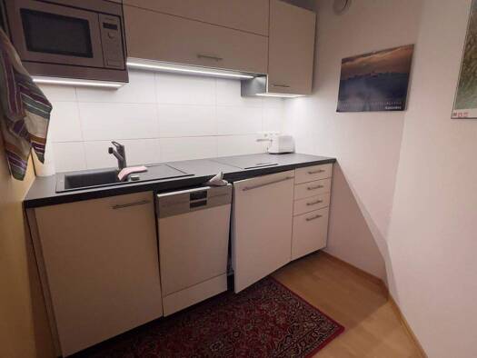 Wohnung zur Miete 700 € 1 Zimmer 43 m² frei ab sofort Wallhausen Konstanz 78465