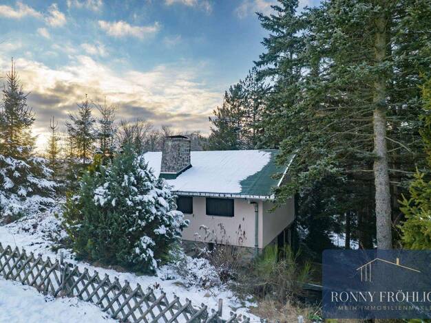 Haus zum Kauf 62.550 € 2 Zimmer 58 m² 665 m² Grundstück Rützengrün Schnarrtanne 08209