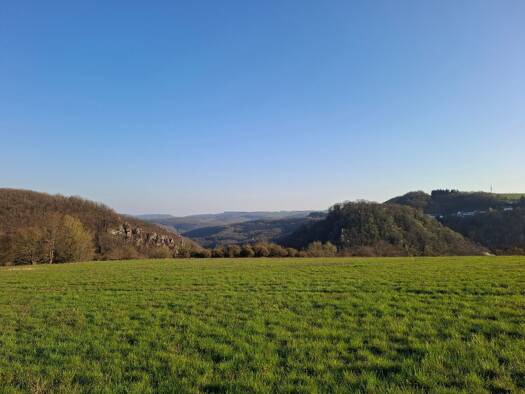 Bauernhaus zum Kauf 975.000 € 300 m² 60.204 m² Grundstück Kirn 55606