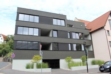 Wohnung zur Miete 625 € 2 Zimmer 44,7 m² 1. Geschoss frei ab 01.11.2025 Talstraße 9 Kröllwitz Halle (Saale) 06120