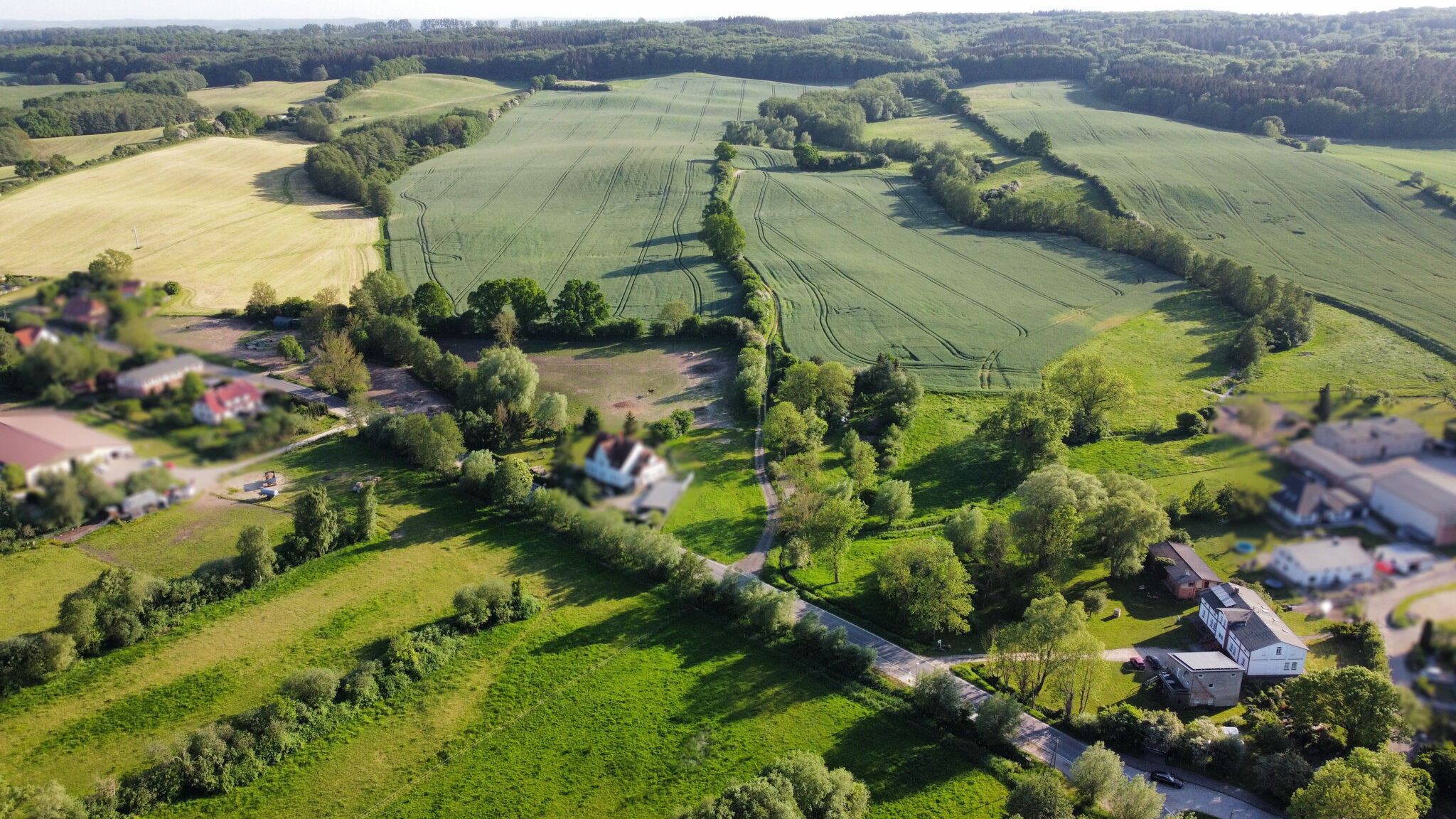 Land-/Forstwirtschaft zum Kauf 1.300.000 € 420.000 m²<br/>Grundstück Steffenshagen 18209