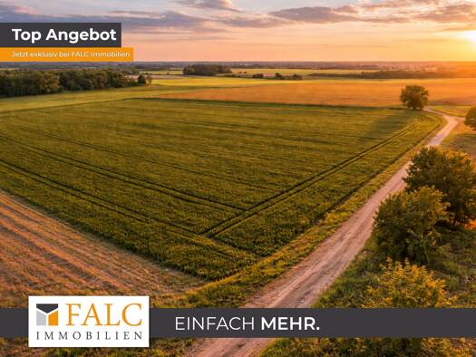 Land-/Forstwirtschaft zum Kauf 389.000 € 139.128 m² Grundstück Dassow 23942