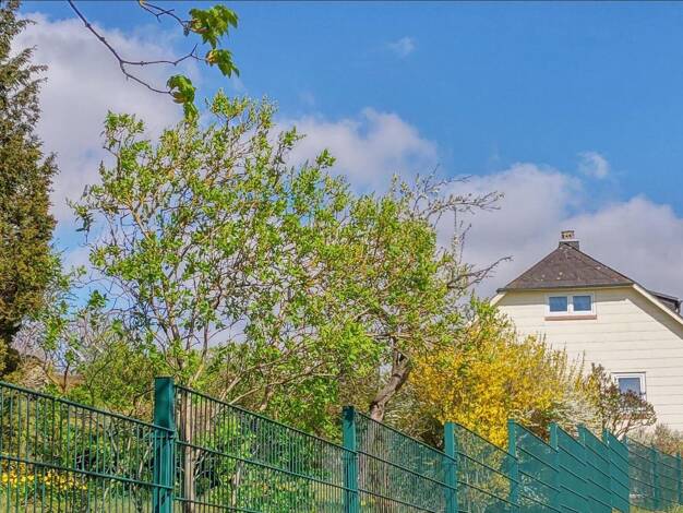 Einfamilienhaus zum Kauf provisionsfrei 129.000 € 6 Zimmer 111 m² 1.842 m² Grundstück Neuhaus Selbitz 95152