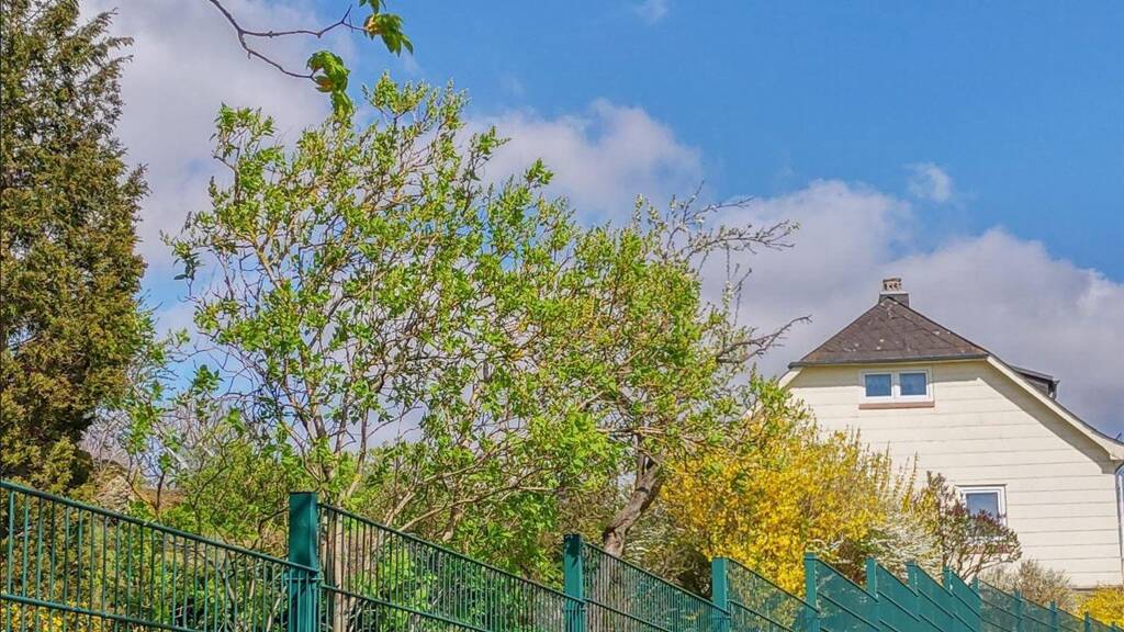 Einfamilienhaus zum Kauf provisionsfrei 129.000 € 6 Zimmer 111 m² 1.842 m² Grundstück Neuhaus Selbitz 95152