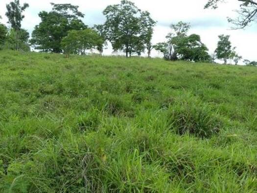 Grundstück zum Kauf 97.738 € 400.000 m² Grundstück Manaus 69085200